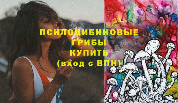 гидропоника Алзамай