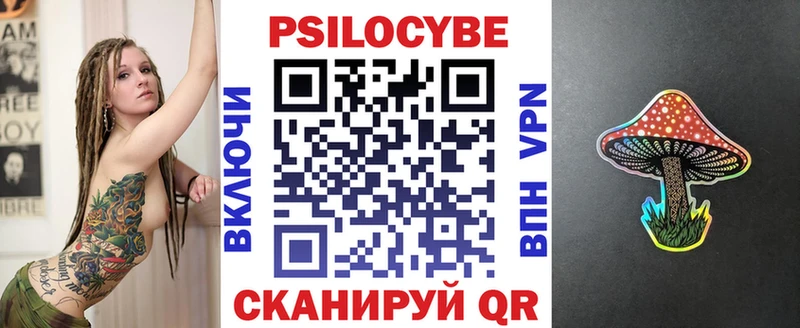 где продают   Сунжа  Галлюциногенные грибы мицелий 