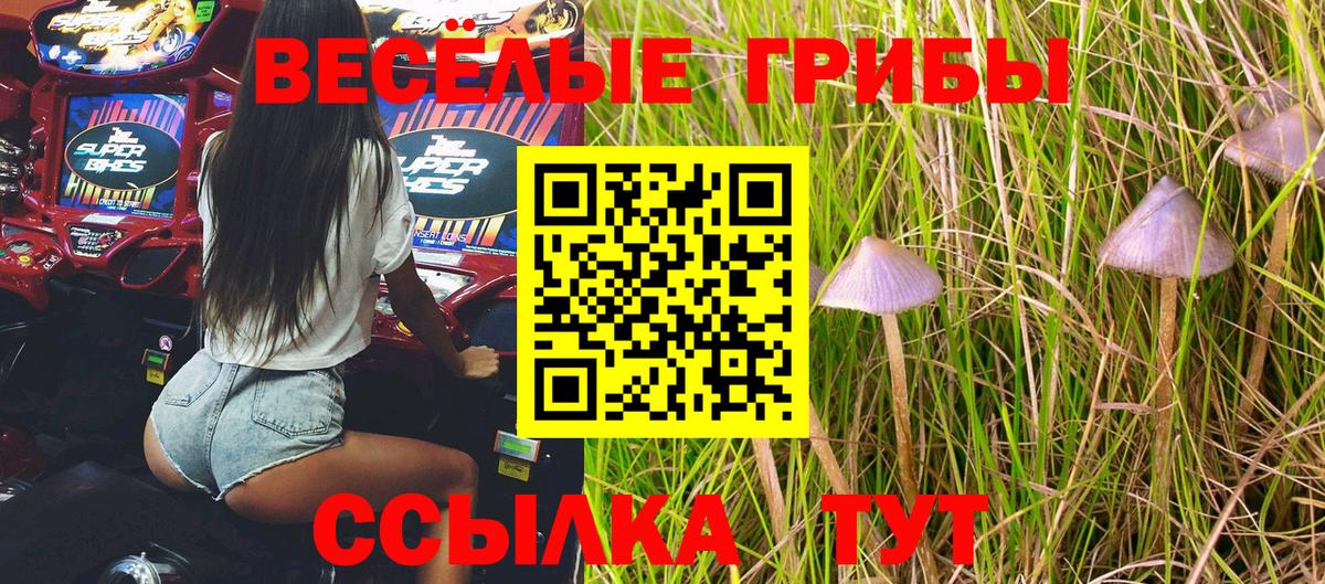 Галлюциногенные грибы мухоморы  Вход с VPN  Сунжа 